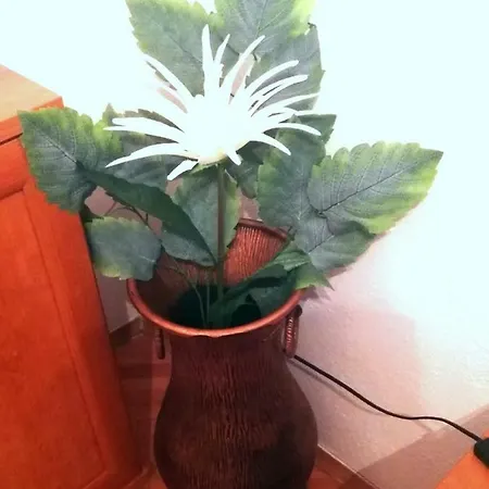 View Apartmán Split