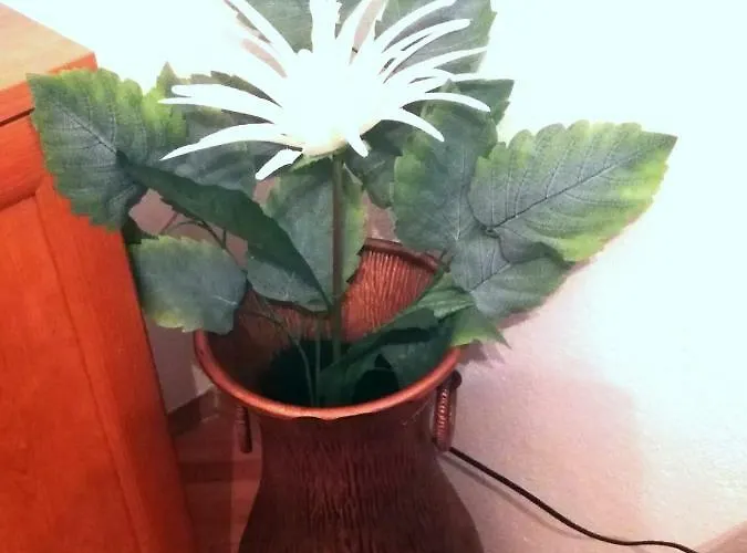 View Lägenhet Split